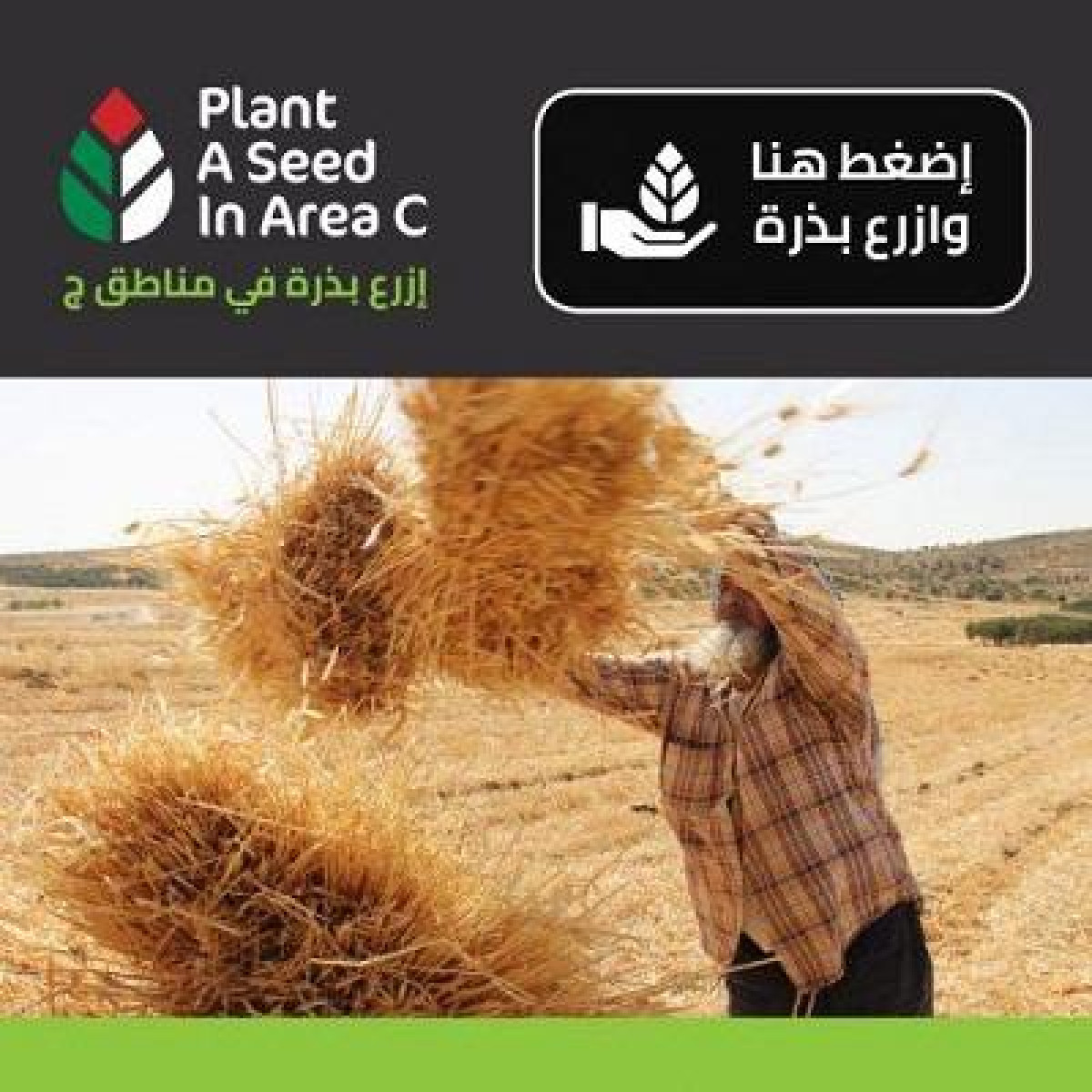 Plant a Seed in Area C