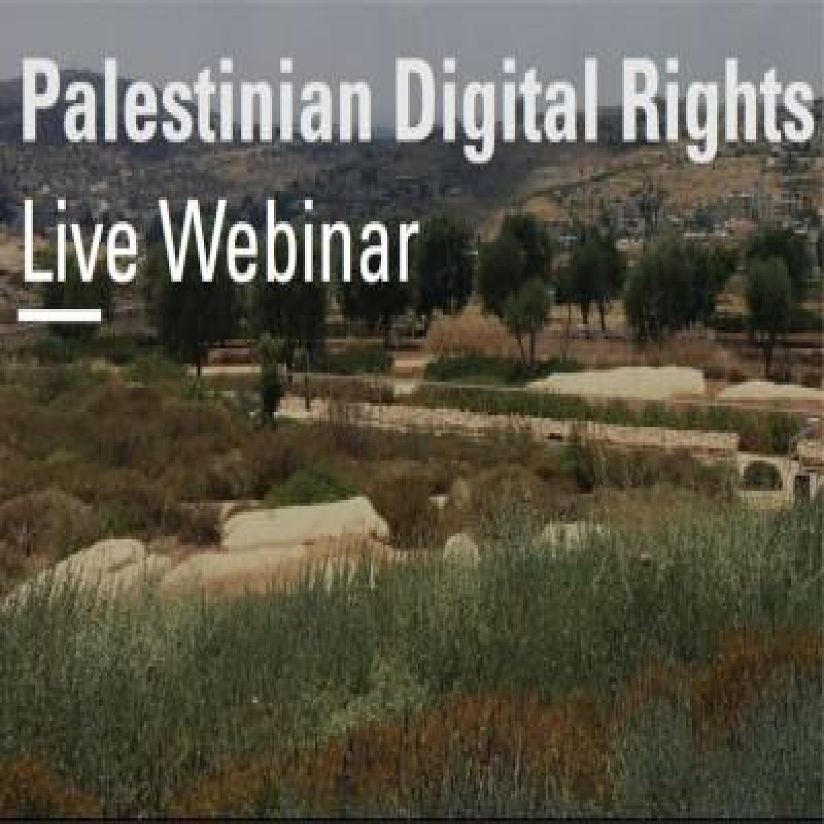 Webinar Highlights Threats and Opportunities for Palestinian Digital Rights