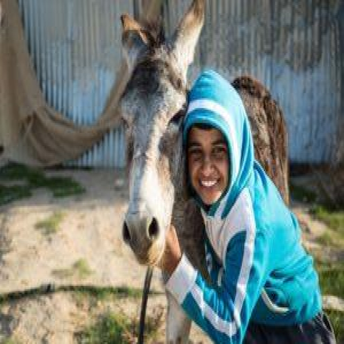 A story called Awajan