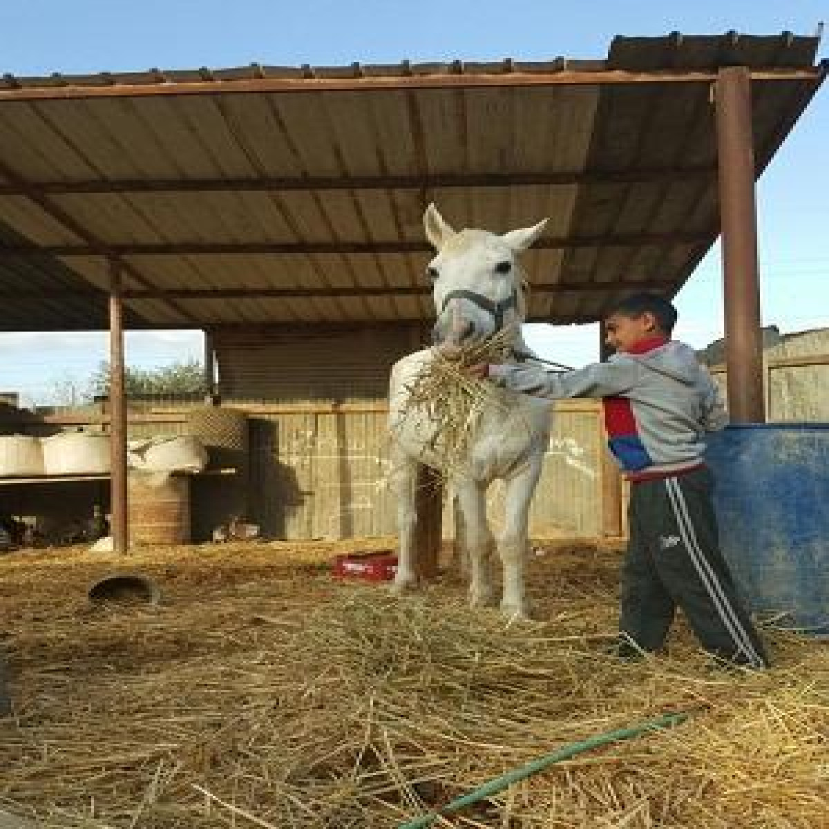 7amleh program to put Al-Zarnouq on the digital map