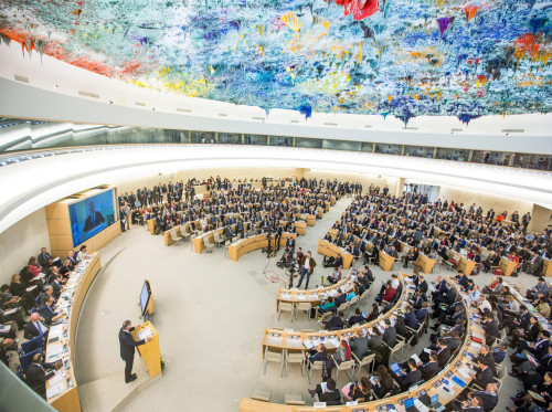 مركز حملة يحصل على الصفة الاستشارية في المجلس الاقتصادي والاجتماعي للأمم المتحدة (ECOSOC)