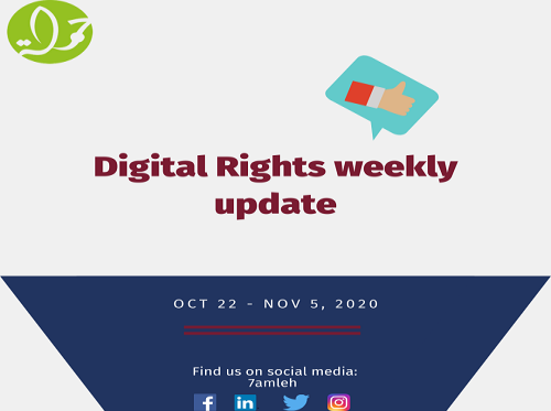 Digital Rights Weekly Update October 29 - November 5, 2020