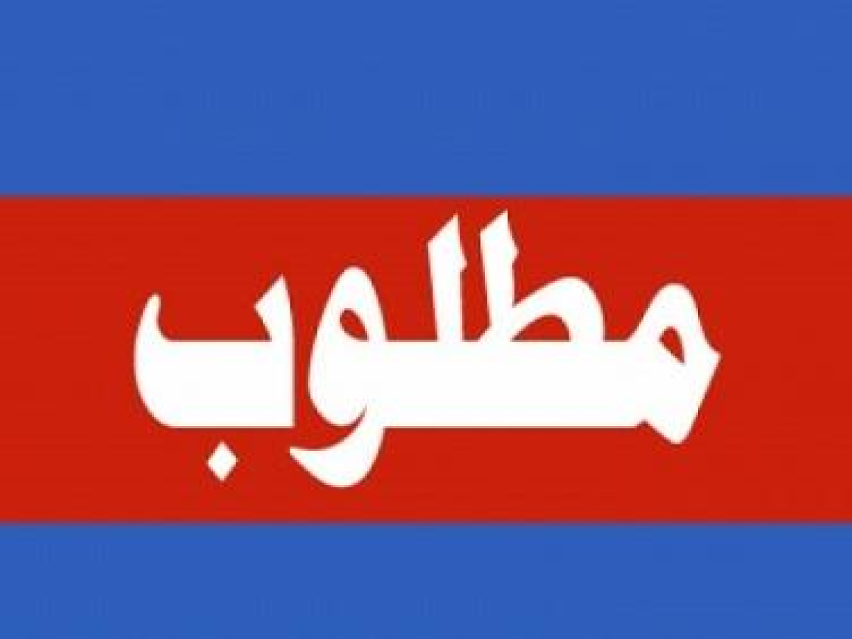 لمركز حملة مطلوب/ة مدير/ة حسابات