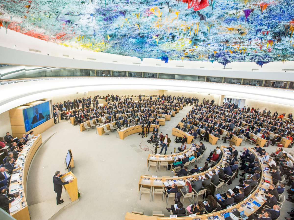 7amleh Achieves Consultative Status at the United Nations Economic and Social Affairs Council (ECOSOC)