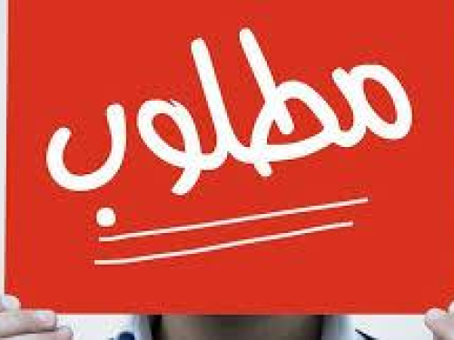 لمركز حملة مطلوب/ة مساعد/ة إدارية ومالية
