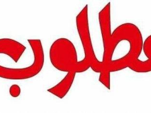 لمركز حملة مطلوب/ة منسق/ة مشاريع