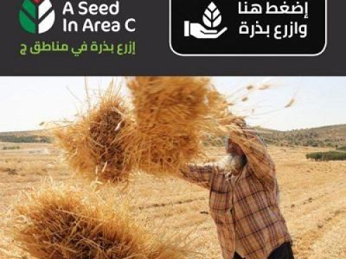 Plant a Seed in Area C