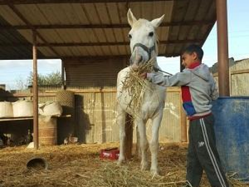 7amleh program to put Al-Zarnouq on the digital map